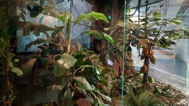 Wycieczka kl. 3f Muzeum Czekolady 2