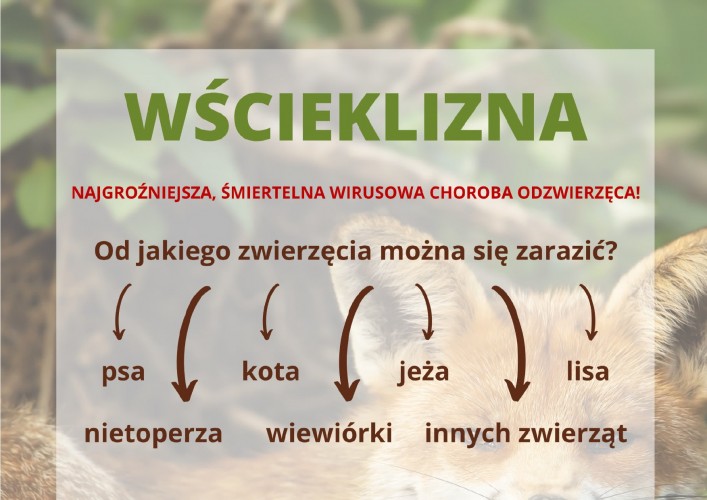 wścieklizna ulotka 3 page 0001
