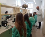 laboratorium 2