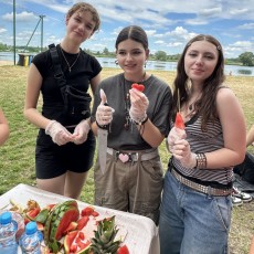 Piknik PCK 4